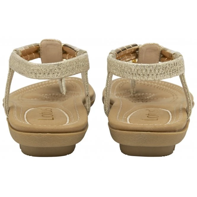 Gold Cybil Flat Toe-Post Sandals | Lotus 5 Gold Cybil Flat Toe-Post Sandals | Lotus - Image 3