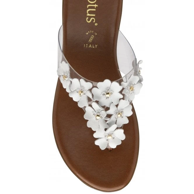 White Brittany Toe-Post Sandals | Lotus 6 White Brittany Toe-Post Sandals | Lotus - Image 4